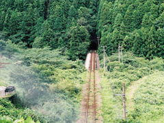 2019豬年過年的說說簡單心情 溫暖有趣的微信過年說說