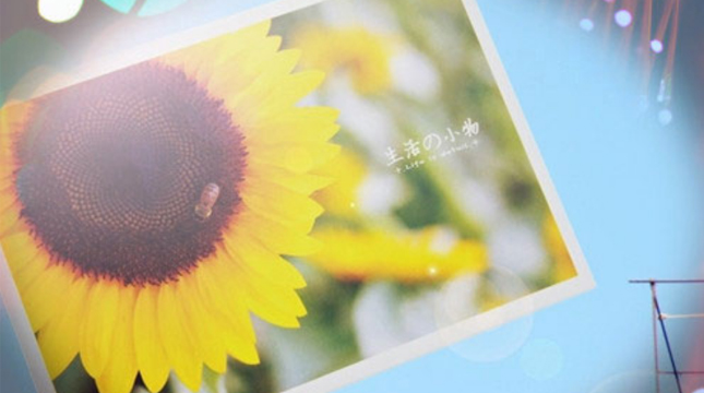 2019二月你好三月再見說說心情短語 三月請(qǐng)對(duì)我好一點(diǎn)唯美說說