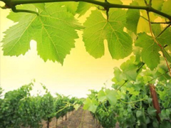 2019勵志早安問候語 最新早安心語一句話