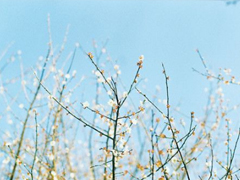 女生霸氣說說很犀利毒舌 一句話朋友圈霸氣說說