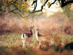 2019二月早安心語簡單一句話 二月你好正能量心情說說