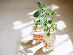 2019情人節(jié)朋友圈說說心情短語 抖音最火情人節(jié)說說大全