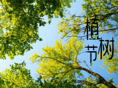 2019植樹(shù)節(jié)朋友圈說(shuō)說(shuō)大全 312關(guān)于植樹(shù)節(jié)的心情說(shuō)說(shuō)