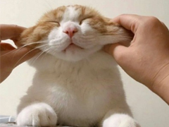 qq擴(kuò)列說說怎么寫逗比 超級(jí)搞笑有趣的擴(kuò)列說說