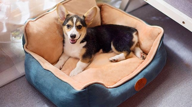 光棍節(jié)一個人過的霸氣微信說說 雙11來自單身狗的怒吼