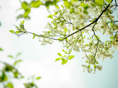 給人正能量的早安句子2019精選 早安說說簡短經(jīng)典一句話