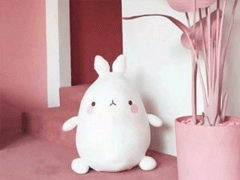 2019豬年除夕跨年祝福語合集 新年祝福語除夕說說