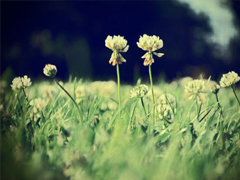 簡(jiǎn)單美好的個(gè)性說(shuō)說(shuō)超級(jí)暖心 2019請(qǐng)多指教