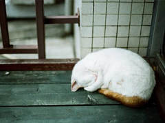 男生霸氣說說適合比較拽的人 十分獨特的超霸氣說說大全