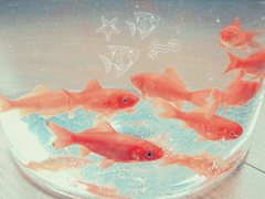 告別2018迎接2019的個(gè)性說說大全 2019最新充滿希望的勵(lì)志說說