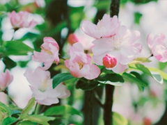 最新微信唯美說(shuō)說(shuō)大全女生專屬 女生都愛(ài)的文藝小清新心情說(shuō)說(shuō)