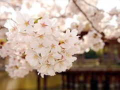 戀愛中寫給對象看的說說 2019最流行的情侶間情話真實浪漫