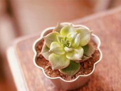 2019朋友圈經(jīng)典說說大全 人生路上這些道理你必須懂得