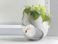 2019新年說說表白大全 新年表白男朋友的情話合集