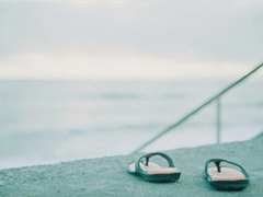 你們當(dāng)年是因為什么而選擇的如今的大學(xué)呢？