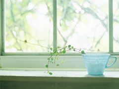 最新有內(nèi)涵的經(jīng)典說(shuō)說(shuō)2019 又好聽(tīng)又勵(lì)志的微信經(jīng)典說(shuō)說(shuō)