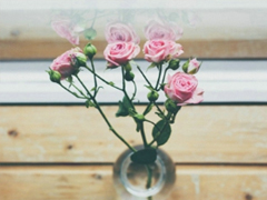 2019微信經(jīng)典說說心情短語 每個(gè)人必須了解的經(jīng)典句子