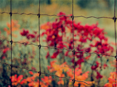 充滿陽光的簡短句子 鼓勵(lì)人的勵(lì)志說說心靈雞湯合集