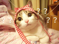 特別好笑又好玩的搞笑說說大全 讓人捧腹大笑的搞笑內(nèi)涵說說