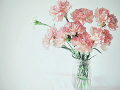 超甜蜜愛(ài)情說(shuō)說(shuō)給女朋友的 哄女朋友開(kāi)心的暖心告白句子