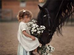 愛情傷感說說看完哭了那種 這一路走來的愛情心酸說說2018