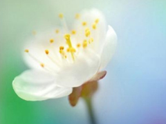 適合這個年紀(jì)發(fā)的說說朋友圈 簡單又走心的心情說說引人共鳴