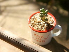 很有名的思想家們關(guān)于人生的一些建議 特別精辟的人生格言經(jīng)典說(shuō)說(shuō)