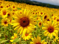 人生感悟說(shuō)說(shuō)剪短一點(diǎn)的 經(jīng)歷成長(zhǎng)的經(jīng)典說(shuō)說(shuō)合集