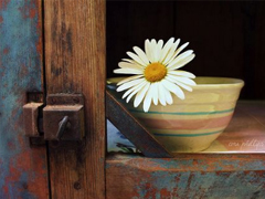 忘不了一個人的說說傷感淚目 一想到你我就淚流不止的說說