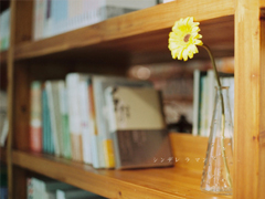 最新朋友圈簡(jiǎn)短經(jīng)典說說 早安一句話勵(lì)志溫暖說說