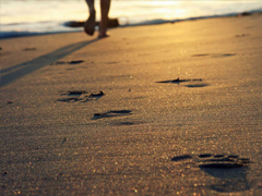 很走心的簡(jiǎn)短經(jīng)典說(shuō)說(shuō)大全 總有一些話會(huì)震撼到你的心靈