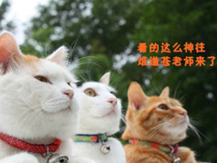 2018清明節(jié)搞笑說(shuō)說(shuō)：清明節(jié)應(yīng)該回小學(xué)初中掃掃墓，因?yàn)槟抢锫裨崃四愕那啻骸? data-6EfT=