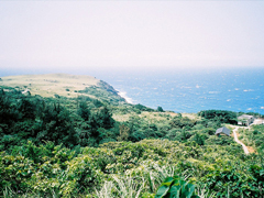 2018經(jīng)典英文個性說說大全帶翻譯 很有哲理有道理的精辟英文說說