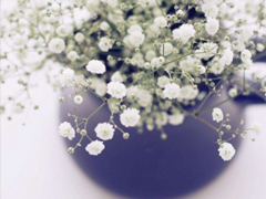 甜到炸的愛(ài)情小情話說(shuō)說(shuō)大全 很甜很暖心的愛(ài)情說(shuō)說(shuō)