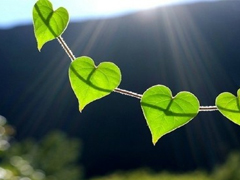 關于愛情很精辟很有哲理的一句話說說 既現(xiàn)實又有道理的愛情說說大全