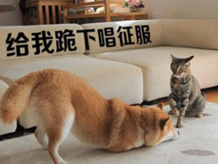 生活中那些搞笑的說(shuō)說(shuō)大全：好看的皮囊嫌你丑，有趣的靈魂厭你俗