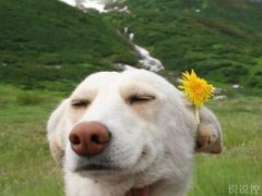 超級(jí)搞笑的說(shuō)說(shuō)，超級(jí)搞笑的段子