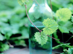 關(guān)于你我之間的愛情的說說 提到感情有些無措的愛情說說