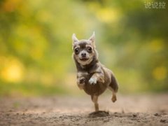 搞笑的朋友圈說說，適合發(fā)朋友圈的搞笑段子