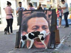 幽默的說說笑死人：你說你要和我共白頭，我染完你又說我非主流