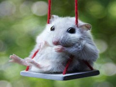 QQ空間惡搞說(shuō)說(shuō)：那些年錯(cuò)過(guò)的大雨，請(qǐng)務(wù)必在軍訓(xùn)時(shí)還給我