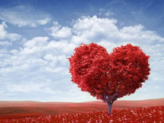 2019最新婦女節(jié)祝福語(yǔ)說(shuō)說(shuō) 38婦女節(jié)住所有女性節(jié)日快樂(lè)