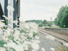 2019植樹節(jié)朋友圈心情說說 312植樹節(jié)說說簡短好聽的