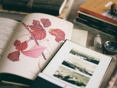 2019晚安說說致自己一句話 女生睡前發(fā)朋友圈的短句