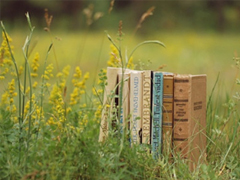 適合春天發(fā)的朋友圈唯美句子 2019春天賞花的心情說說