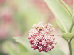很特別適合女生的個(gè)性說說大全 朋友圈女生簡單有氣質(zhì)的話語