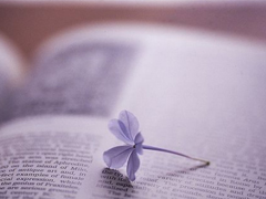 給女生的小情話暖人心超浪漫 低調(diào)秀恩愛(ài)的說(shuō)說(shuō)心情短語(yǔ)