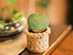 偶爾有點(diǎn)小傷感的心情說說 學(xué)會(huì)自我安慰的說說