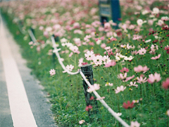 2018最后一天對自己說的話經(jīng)典版 致即將逝去的2018!