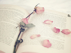 微信朋友圈感動說說心情短語 哪來的狗屁好脾氣全是因為我喜歡你